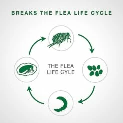 Advantage II Flea Treatment For Small Cats 5-lb To 9-lb, 4-pk -Staytonanimal Sales 2024 image 45266 AMzou0o