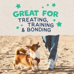 Natural Balance Rewards Crunchy Biscuits With Real Chicken Dog Treats, 14-oz 5 Natural Balance Rewards Crunchy Biscuits With Real Chicken Dog Treats, 14-oz -Staytonanimal Sales 2024 image 54494 i0e1vkZ