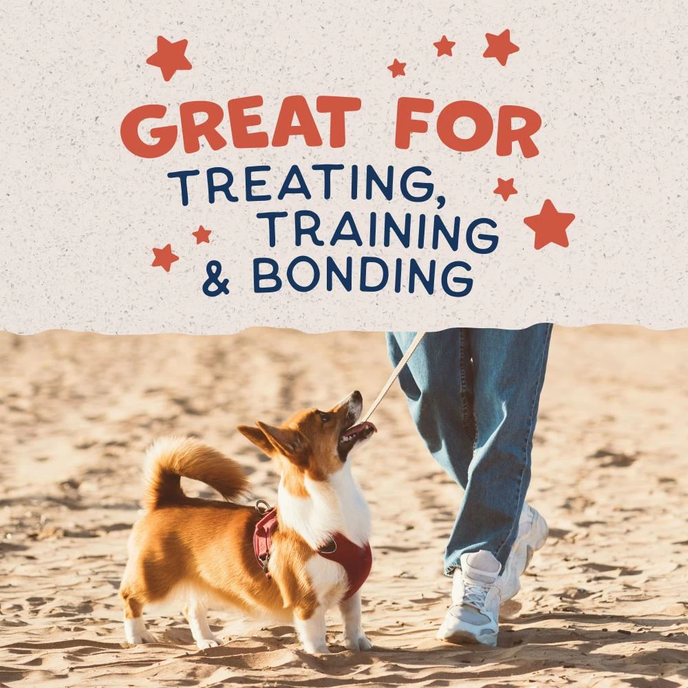 Natural Balance Rewards Crunchy Biscuits With Real Salmon Dog Treats, 14-oz 3 Natural Balance Rewards Crunchy Biscuits With Real Salmon Dog Treats, 14-oz - Image 3