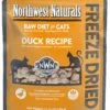 Northwest Naturals Raw Diet Grain-Free Duck Nibbles Freeze Dried Cat Food, 11-oz