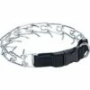 Coastal Titan Martingale Prong Training Dog Collar, 18-in