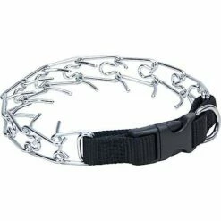 Coastal Titan Martingale Prong Training Dog Collar, 18-in