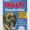 Halti Dog Headcollar, Black, Size 4