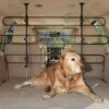 Solvit Deluxe Tubular Car Pet Barrier