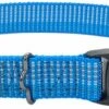 K9 Explorer Brights Reflective Adjustable Dog Collar, Lake, 5/8-in X 8-12-in