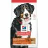 Hill's Science Diet Adult Large Breed Lamb Meal & Rice Dry Dog Food, 33-lb
