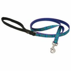 Lupine Pet Original Designs Padded Handle Dog Leash, Rain Song, 1/2-in X 6-ft