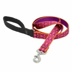 Lupine Pet Original Designs Padded Handle Dog Leash, Alpen Glow, 1-in X 6-ft