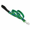 Lupine Pet Original Designs Padded Handle Dog Leash, Tail Feathers, 1/2-in X 6-ft