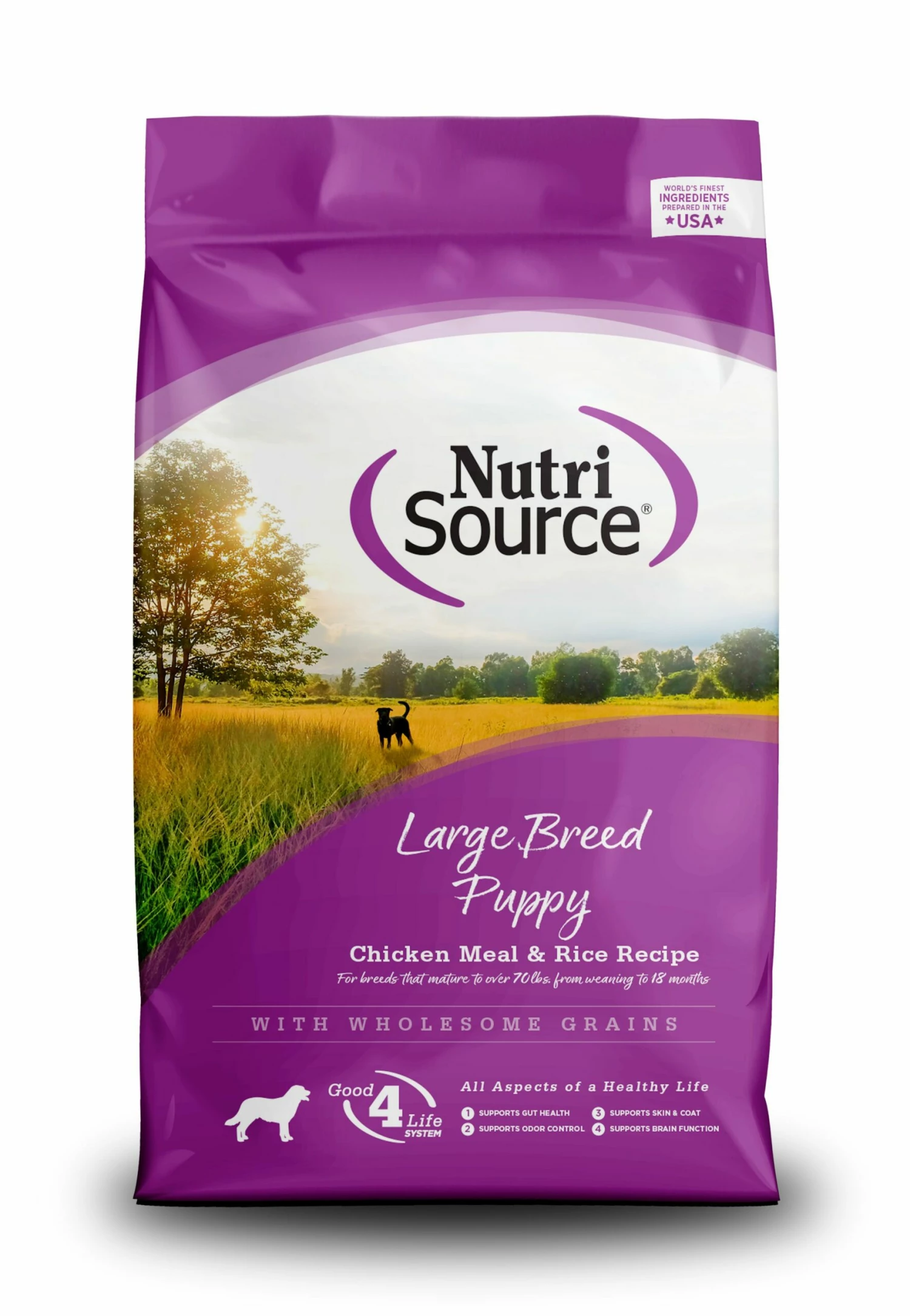 NutriSource Large Breed Puppy Chicken Meal & Rice Recipe With Wholesome Grains Dry Dog Food, 5-lb 1 NutriSource Large Breed Puppy Chicken Meal & Rice Recipe With Wholesome Grains Dry Dog Food, 5-lb